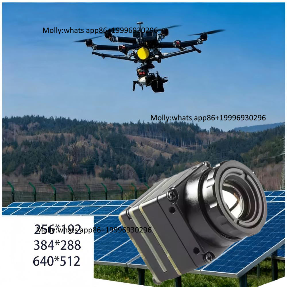 Mini FPV Thermal Camera Module - огляд і ціна Thermal Camera Type C 384X288